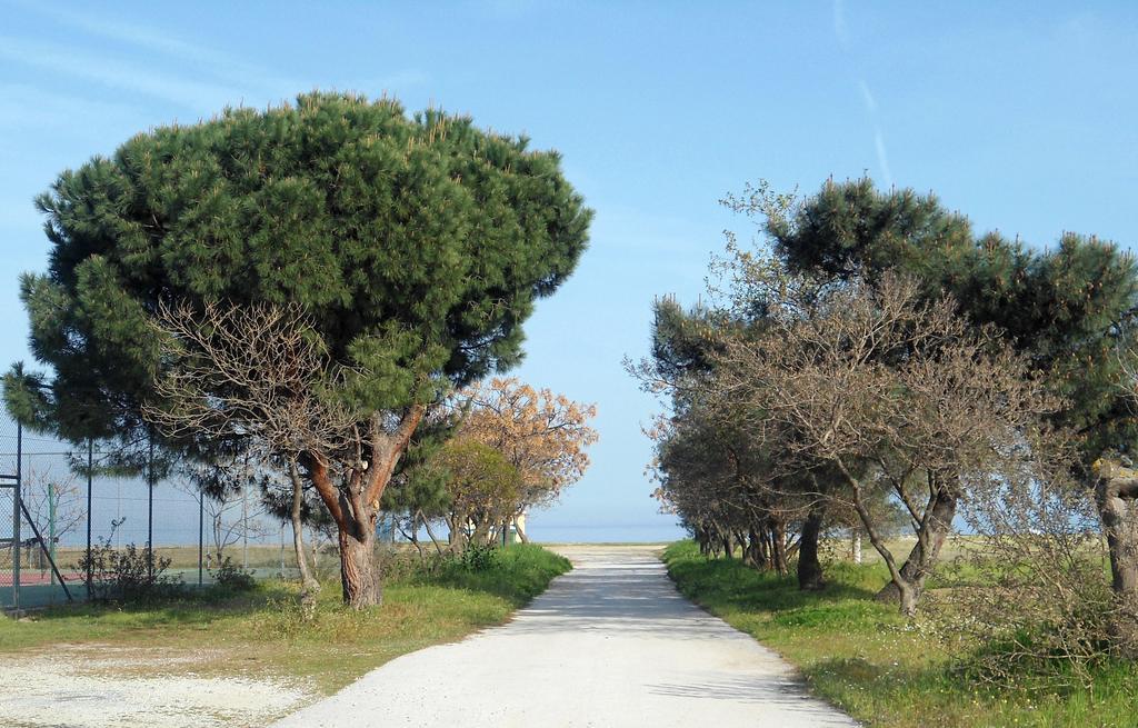 Villa Verano Ασπροβάλτα Εξωτερικό φωτογραφία